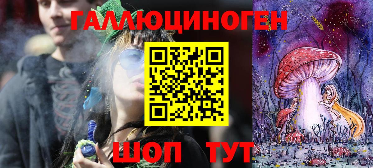 Прохладный  Галлюциногенные грибы Magic Shrooms  Вход с VPN 